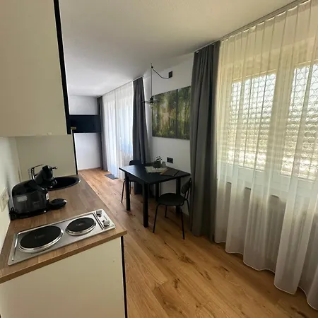 Ferienwohnung Ueber Den Daechern Von Bregenz Exterior photo