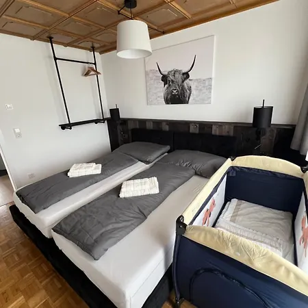 Ferienwohnung Ueber Den Daechern Von Bregenz Exterior photo